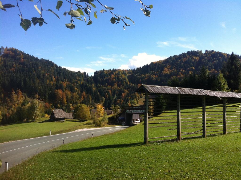 Tourist farm Anž'k Villa Bled Exteriör bild
